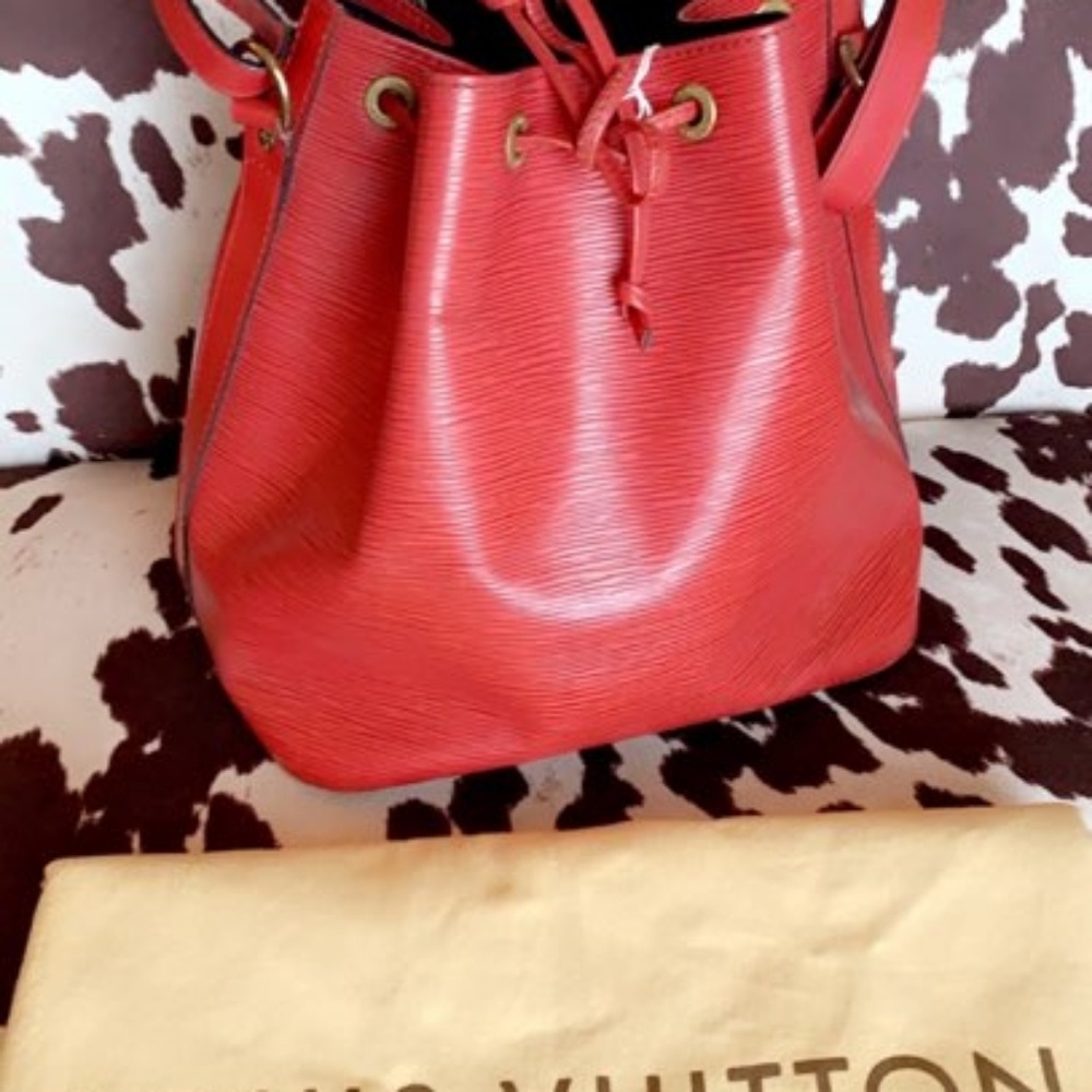 Louis Vuitton Noe Petti Epi